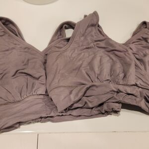 Kindred Bravely Mauve Bras